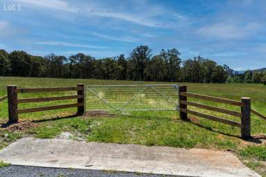 Farm Sold - NSW - Kangaroo Valley - 2577 - 'Willards Run" - Stunning 5 Acre Vacant Lots  (Image 2)