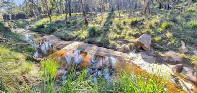 Farm Sold - NSW - Tenterfield - 2372 - "Sylvester" - Mt McKenzie High Country.....  (Image 2)