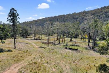 Farm Sold - NSW - Tenterfield - 2372 - "Sylvester" - Mt McKenzie High Country.....  (Image 2)