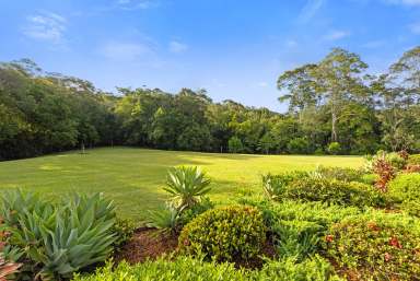 Farm Sold - QLD - Eumundi - 4562 - Private Natural Haven in Desirable Location  (Image 2)