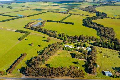 Farm Sold - VIC - Winchelsea South - 3241 - OUTSTANDING PRODUCTIVE BIRREGURRA – WINCHELSEA SOUTH DISTRICT PROPERTY  (Image 2)