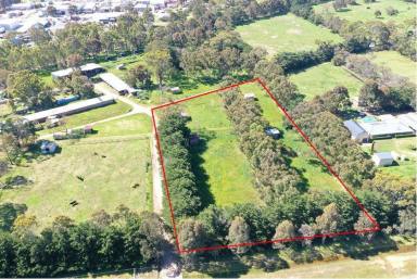 Farm Sold - VIC - Bairnsdale - 3875 - A block worth racing to see, Giddy-Up!  (Image 2)