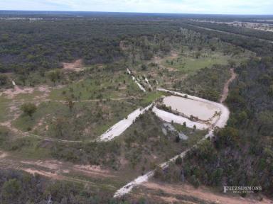 Farm Sold - QLD - Kogan - 4406 - ESCAPE CITY LIVING! 280 ACRES WITH AN EXCELLENT HOME AND ABUNDANCE OF WATER  (Image 2)