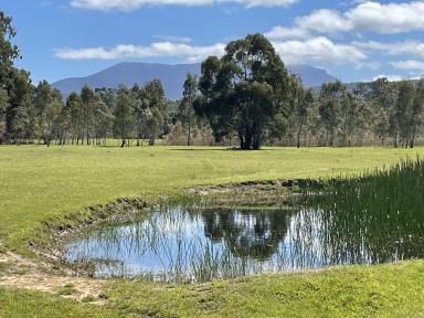 Farm Sold - VIC - Mafeking - 3379 - Secluded Grampians opportunity  (Image 2)
