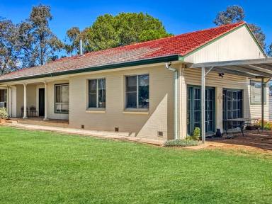 Farm Sold - NSW - Curlewis - 2381 - Rural Lifestyle Living - 47 acres with 4 bedroom home Curlewis NSW 2381  (Image 2)