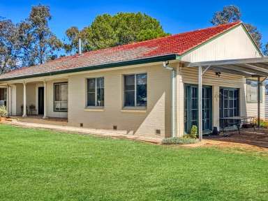 Farm Sold - NSW - Curlewis - 2381 - Rural Lifestyle Living - 47 acres with 4 bedroom home Curlewis NSW 2381  (Image 2)