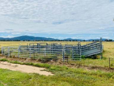 Farm Sold - NSW - Gunnedah - 2380 - "Part Daisy Plains" - Gunnedah NSW  (Image 2)