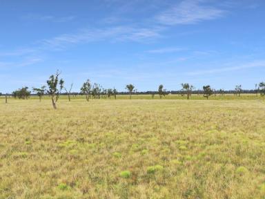 Farm Sold - NSW - Gunnedah - 2380 - "Part Daisy Plains" - Gunnedah NSW  (Image 2)