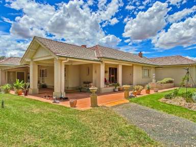 Farm Sold - NSW - Gunnedah - 2380 - "Bindaree" - Gunnedah NSW  (Image 2)