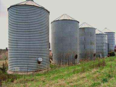 Farm Sold - NSW - Gunnedah - 2380 - "Kexa" - Gunnedah. High production Namoi River Flood Plain country.  (Image 2)