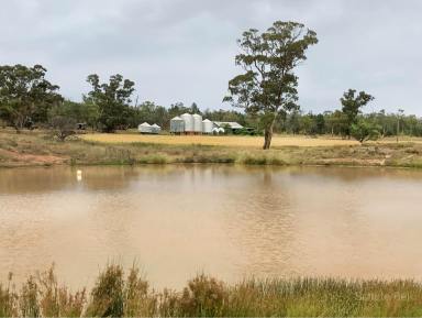 Farm Sold - NSW - Tullamore - 2874 - Entry level farming grazing  (Image 2)