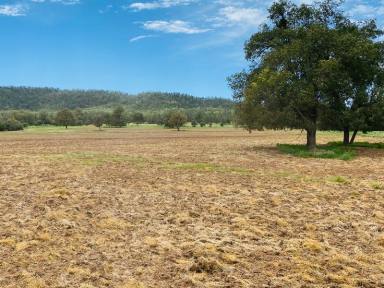 Farm Sold - NSW - Somerton - 2340 - Mixed Farming Property  (Image 2)