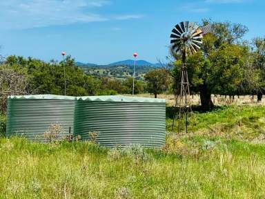 Farm Sold - NSW - Somerton - 2340 - Mixed Farming Property  (Image 2)