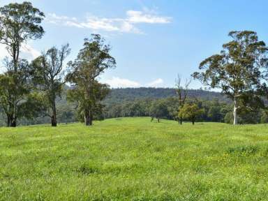 Farm Sold - NSW - Yarrowitch - 2354 - 747 Upper Yarrowitch River Road  (Image 2)