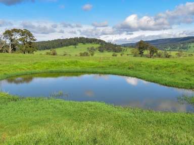 Farm Sold - NSW - Yarrowitch - 2354 - 747 Upper Yarrowitch River Road  (Image 2)