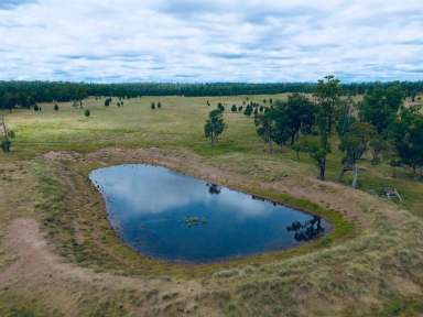 Farm Sold - NSW - Caroona - 2343 - Caroona Grazing and Mixed Farming  (Image 2)