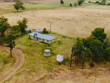 Farm Sold - NSW - Caroona - 2343 - Caroona Grazing and Mixed Farming  (Image 2)