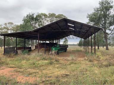 Farm Sold - NSW - Parkes - 2870 - Great Starter Block 472 Acres (191.1 Ha)  (Image 2)