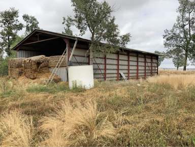 Farm Sold - NSW - Parkes - 2870 - Great Starter Block 862 Acres (349.1 Ha)  (Image 2)