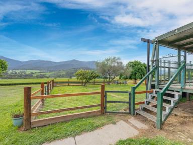 Farm Sold - VIC - Coral Bank - 3691 - “Lifestyle with income, Kiewa Valley Green Tea Farm in full production “  (Image 2)