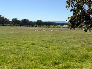 Farm Sold - NSW - Table Top - 2640 - Lot 18 - 2 Ha - 5 Acres  -  Under Offer
Lot 20 - 2 Ha - 5 Acres  -  SOLD  (Image 2)