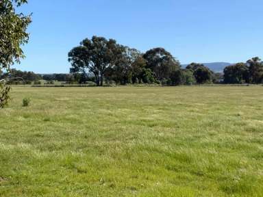 Farm Sold - NSW - Table Top - 2640 - Lot 18 - 2 Ha - 5 Acres  -  Under Offer
Lot 20 - 2 Ha - 5 Acres  -  SOLD  (Image 2)