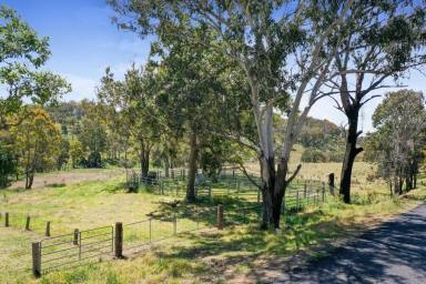 Farm Sold - NSW - Tenterfield - 2372 - Acreage Minutes from Tenterfield....  (Image 2)