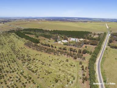 Farm Sold - VIC - Maddingley - 3340 - Announcing the birth of a new 8.38ha/21.8 acres home site and nature lover's oasis. Enjoying panoramic million-dollar views.  (Image 2)