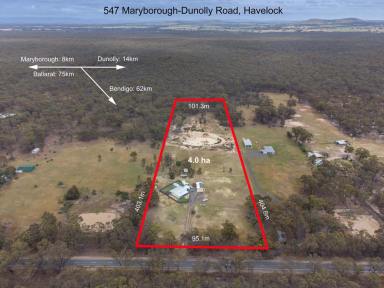Farm Sold - VIC - Havelock - 3465 - Acreage Minutes to Maryborough! Woodland and Pasture with 3 Bed plus Home Office Shaded by Spacious Verandah.  (Image 2)