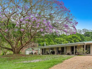 Farm Sold - NSW - Nashua - 2479 - Brilliant Bangalow Hinterland Opportunity- "Jacaranda Rise"  (Image 2)