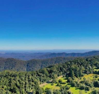 Farm For Sale - QLD - Samford Valley - 4520 - LARGE LANDHOLDING (APPROX 1088 ACRES) - Mount Glorious Estate. Currently with a DA for milling and felling  (Image 2)
