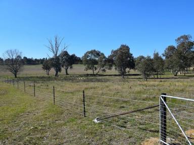Farm Sold - NSW - Galong - 2585 - Village Opportunity  (Image 2)