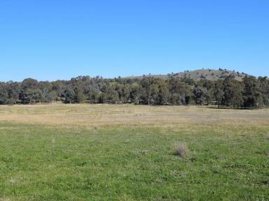 Farm Sold - NSW - Galong - 2585 - Village Opportunity  (Image 2)