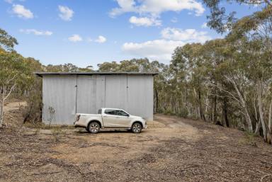 Farm Sold - NSW - Goulburn - 2580 - Just off the Hume  (Image 2)