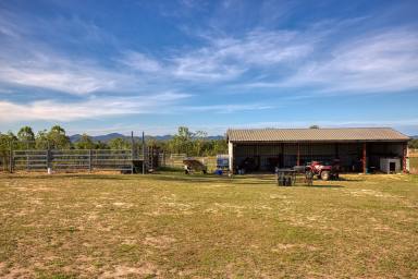 Farm Sold - QLD - Septimus - 4754 - 40 Acre Property - Owner Moving to the Beach  (Image 2)