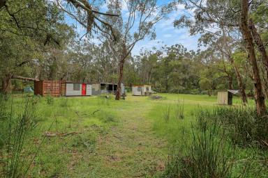 Farm Sold - VIC - Drumborg - 3304 - BUSH BLOCK -  BARELY TOUCHED - PUT YOUR OWN MARK ON THIS ONE  (Image 2)