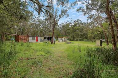 Farm Sold - VIC - Drumborg - 3304 - BUSH BLOCK -  BARELY TOUCHED - PUT YOUR OWN MARK ON THIS ONE  (Image 2)