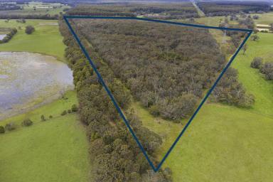 Farm Sold - VIC - Drumborg - 3304 - BUSH BLOCK -  BARELY TOUCHED - PUT YOUR OWN MARK ON THIS ONE  (Image 2)