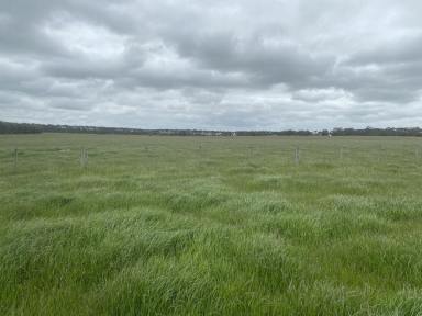 Farm Sold - VIC - Minhamite - 3287 - HIGHLY REGARDED DUAL PURPOSE LAND TRACT  (Image 2)