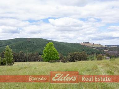 Farm Sold - WA - Southampton - 6253 - VIEWS AND HILLS WILL FILL YOUR HEART  (Image 2)