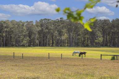 Farm Sold - WA - Forest Grove - 6286 - "Glen Karri"  (Image 2)