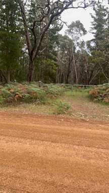 Farm Sold - VIC - Sandford - 3312 - BUSH BLOCK - SANDFORD - APPROX. 314 ACRES  (Image 2)