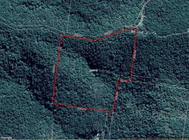 Farm Sold - QLD - Bauple - 4650 - Mountain Retreat on 35 Acres  (Image 2)