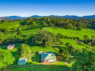 Farm Sold - NSW - Koonorigan - 2480 - Magnificent Rural Vista  (Image 2)
