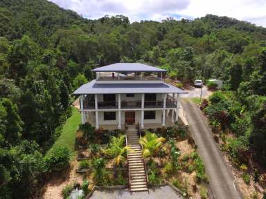 Farm For Sale - QLD - Daintree - 4873 - SUPERIOR OFF GRID RAINFOREST BUILD  (Image 2)