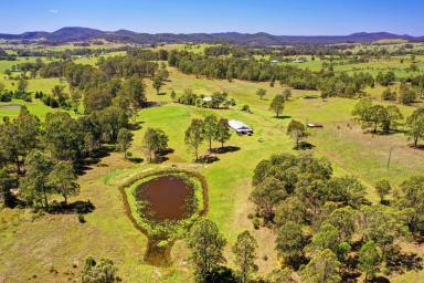 Farm Sold - NSW - Bunyah - 2429 - LAZY ACRES  (Image 2)