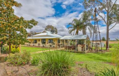 Farm For Sale - VIC - Red Cliffs - 3496 - DIVERSE INCOME WITH CHARACTER FILLED HOME  (Image 2)