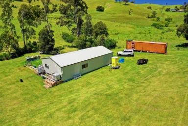 Farm Sold - NSW - Wallanbah - 2422 - Life Just Got Quieter  (Image 2)