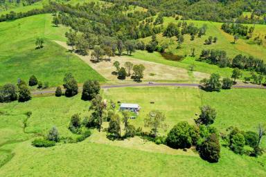 Farm Sold - NSW - Wallanbah - 2422 - Life Just Got Quieter  (Image 2)