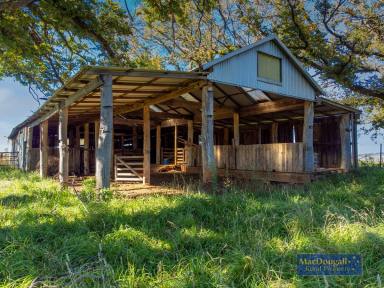 Farm For Sale - NSW - Armidale - 2350 - Rural Lifestyle with Subdivision Potential  (Image 2)